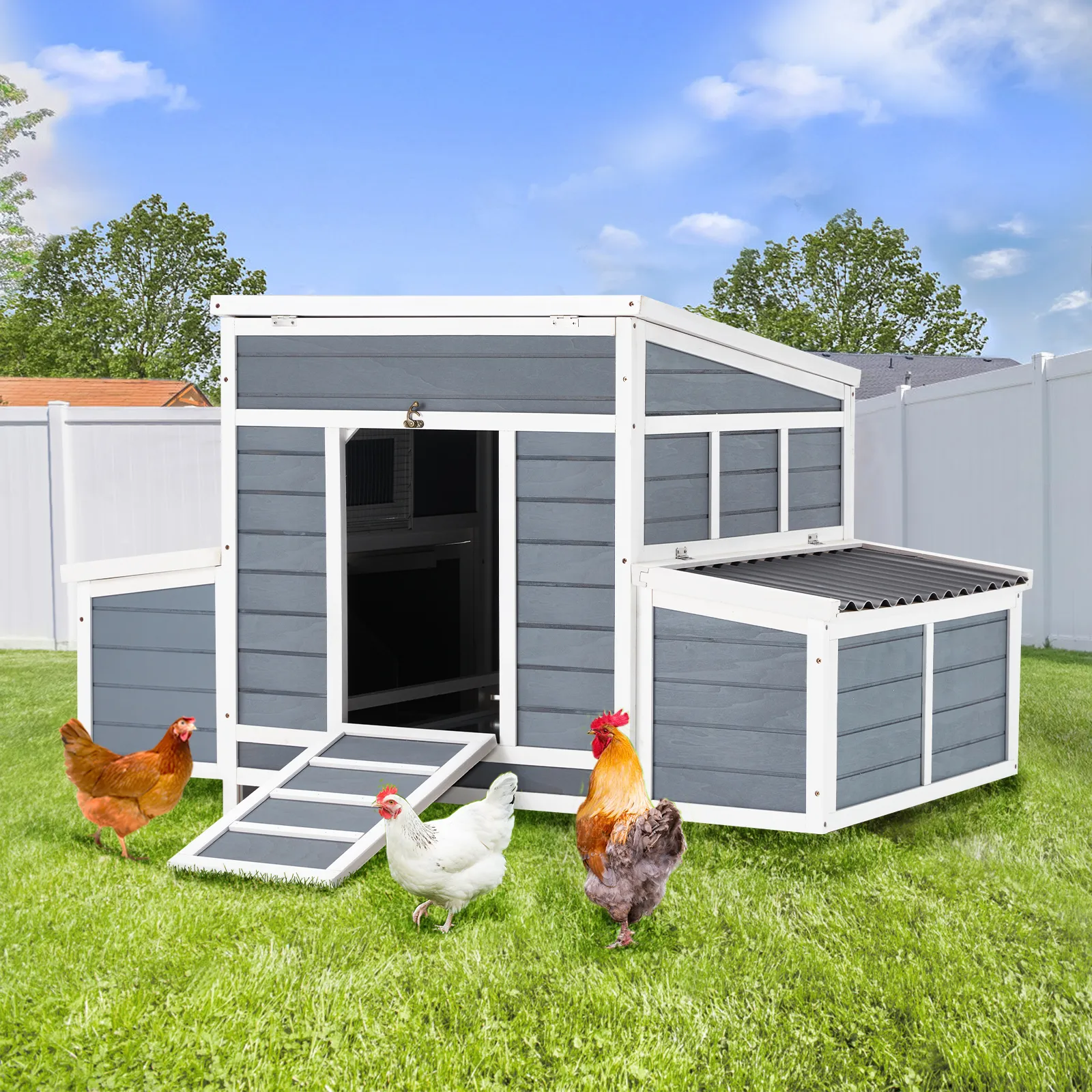 /img/54302-chicken-coop-cleaning.webp