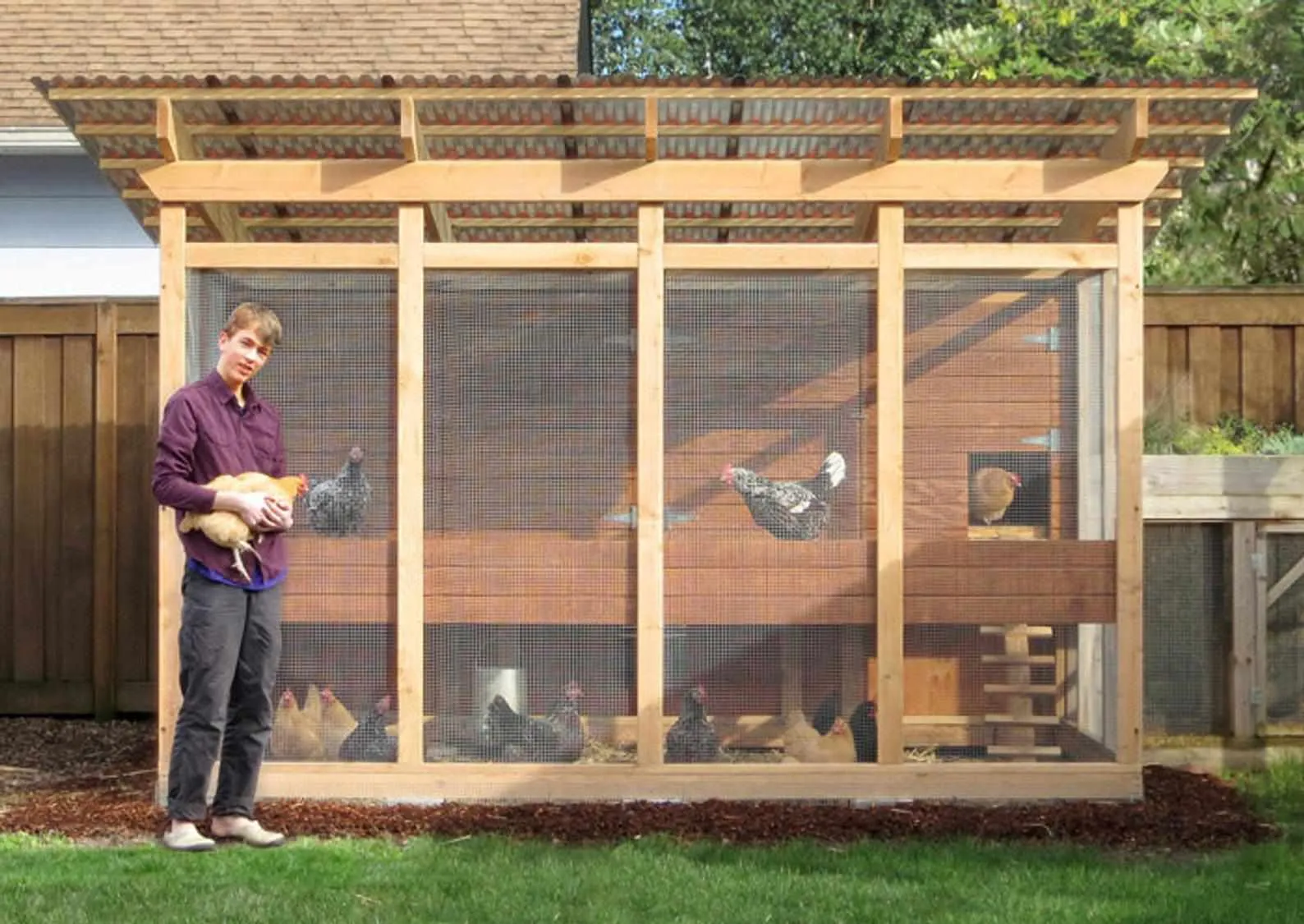 54303 best chicken coop overview
