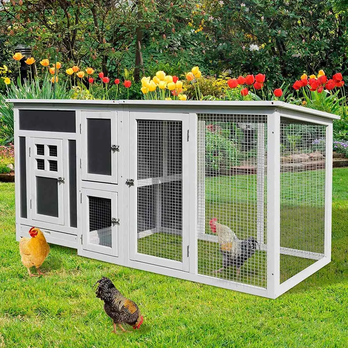54303 predator proof chicken coop