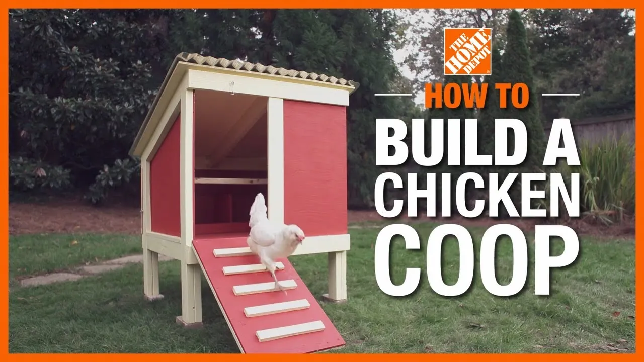 54305 prefab home depot chicken coop