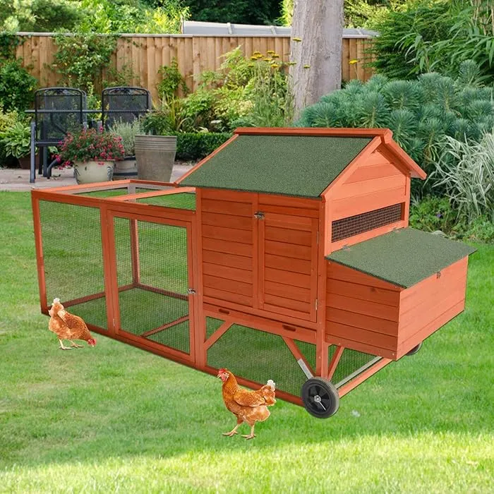 /img/54306-chicken-coop-maintenance.webp