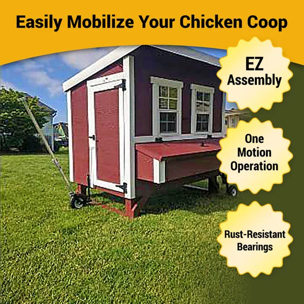 54309 chicken coop health
