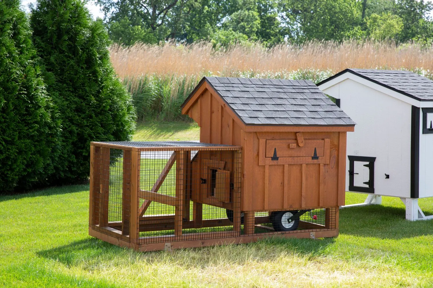 54309 mobile chicken coop pasture