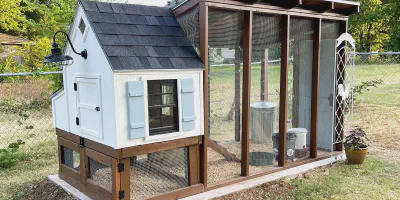 /img/54311-chicken-coop-maintenance.webp
