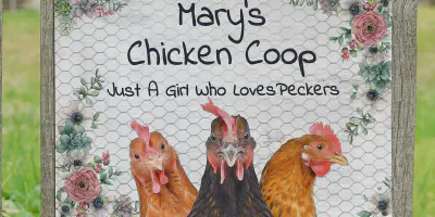 /img/54312-installing-chicken-coop-sign.webp