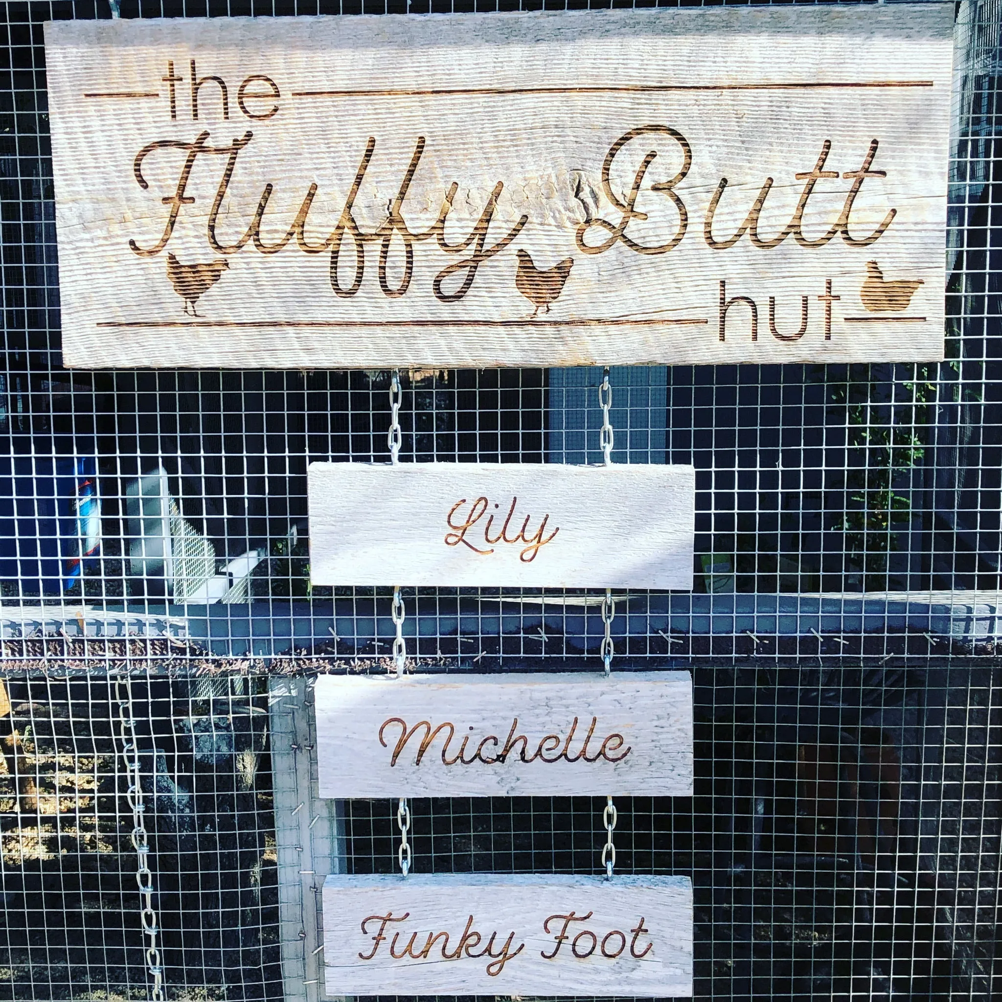 54312 rustic wood chicken coop sign