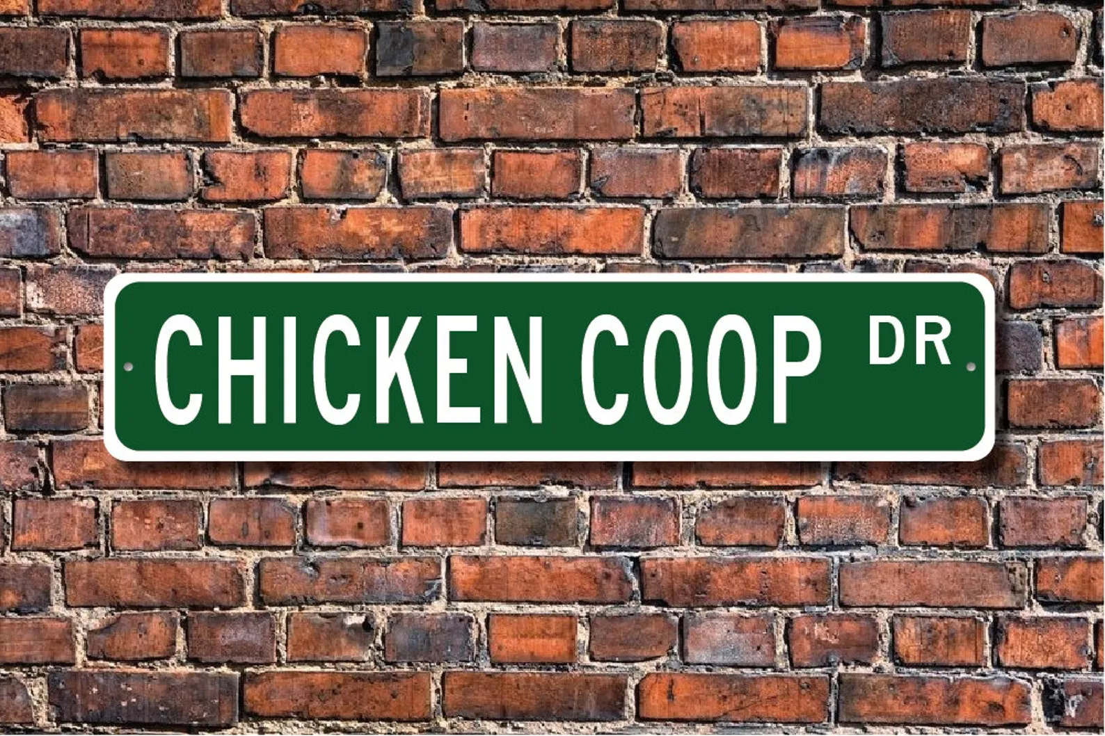 54314 chicken coop sign ideas