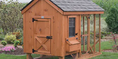 /img/54316-amish-chicken-coop-cleaning.webp