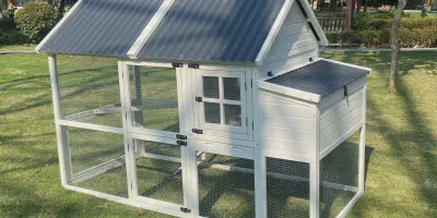 /img/54317-walmart-chicken-coop-purchase.webp