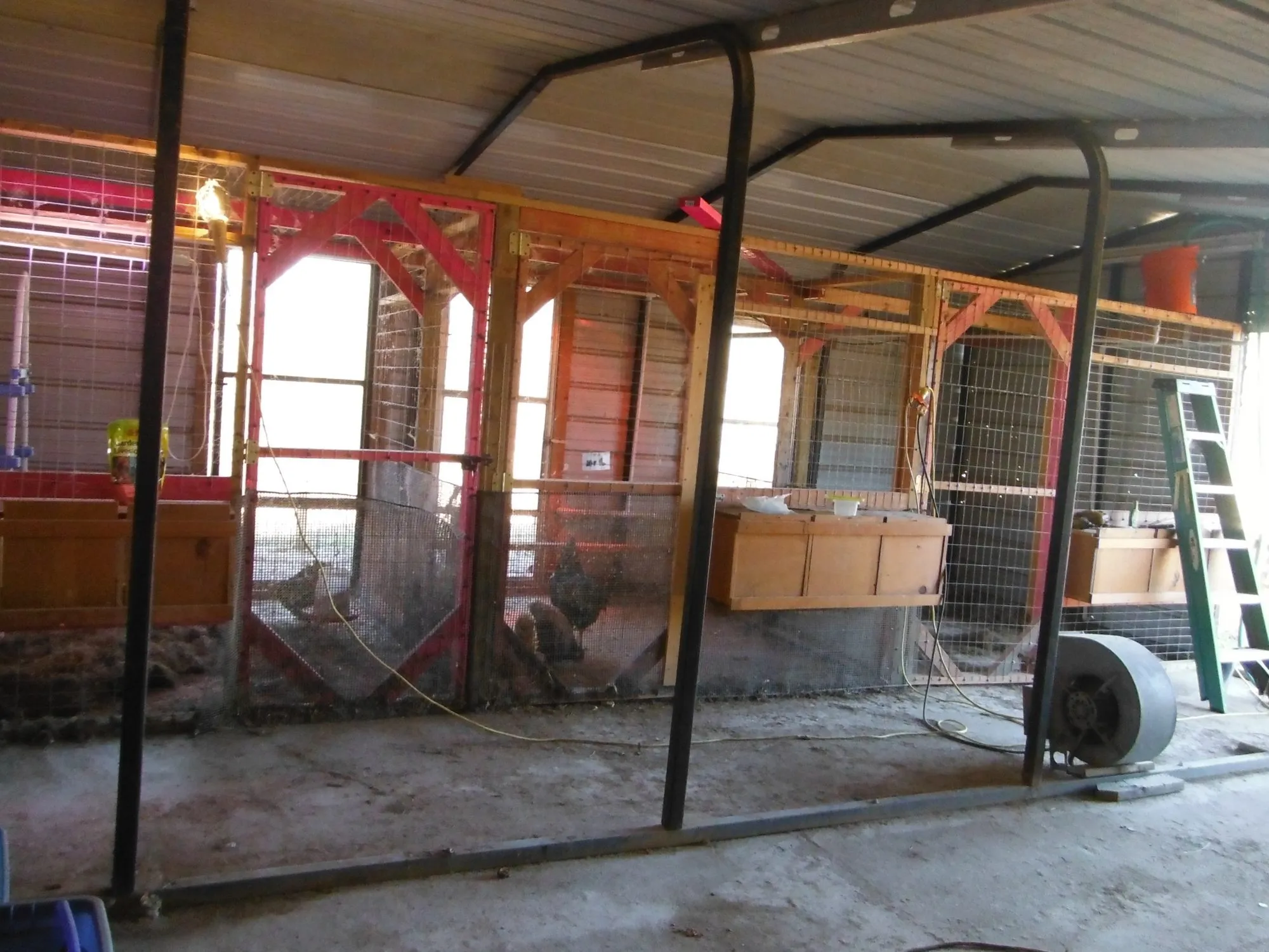 54318 chicken coop cleaning