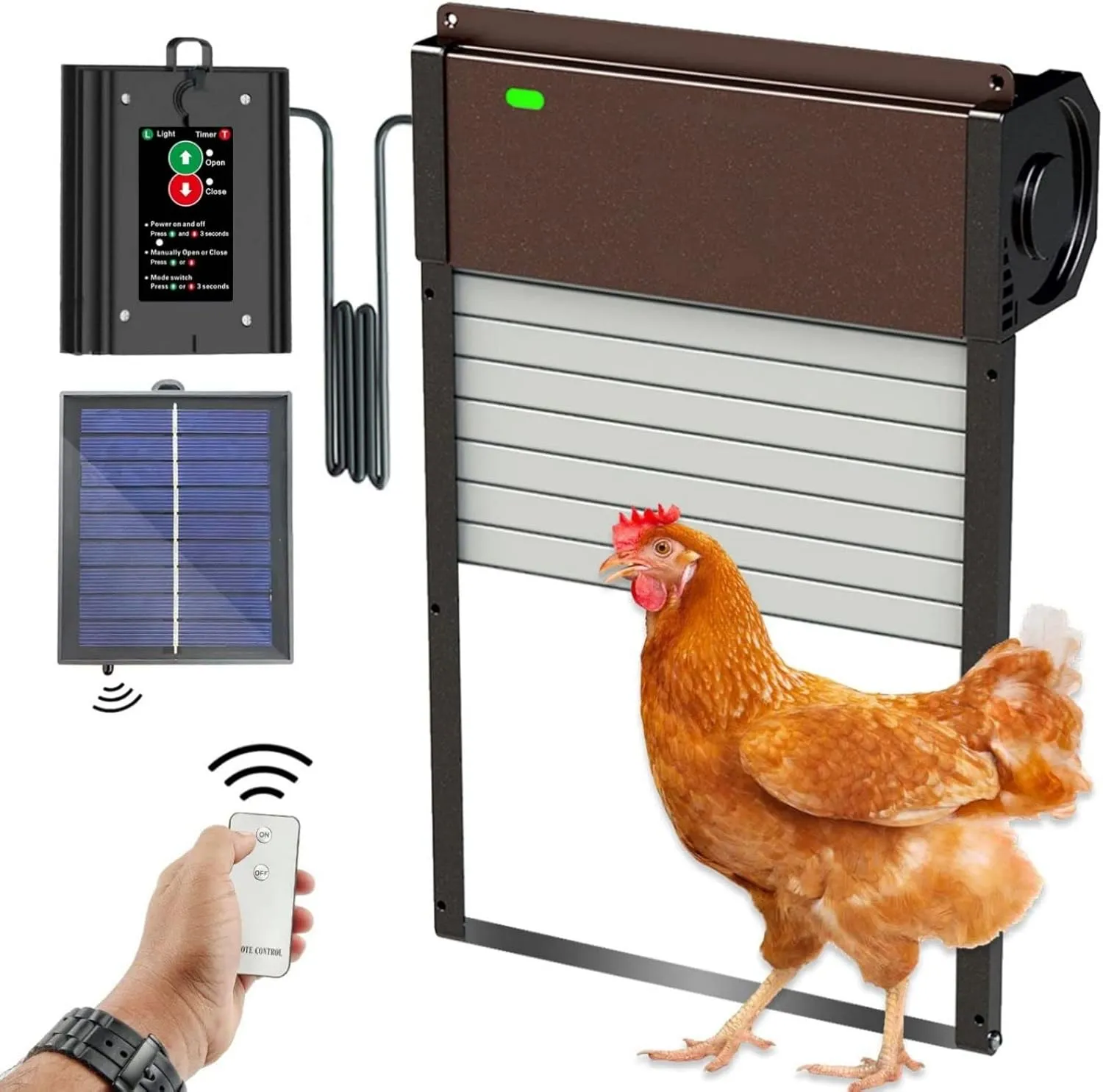 54321 chicken coop door safety