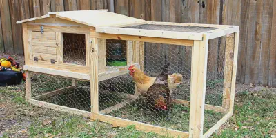 /img/54328-chicken-coop-complete.webp