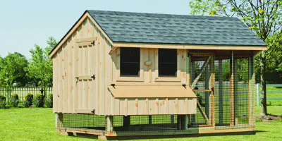 /img/54329-chicken-coop-layout-design.webp