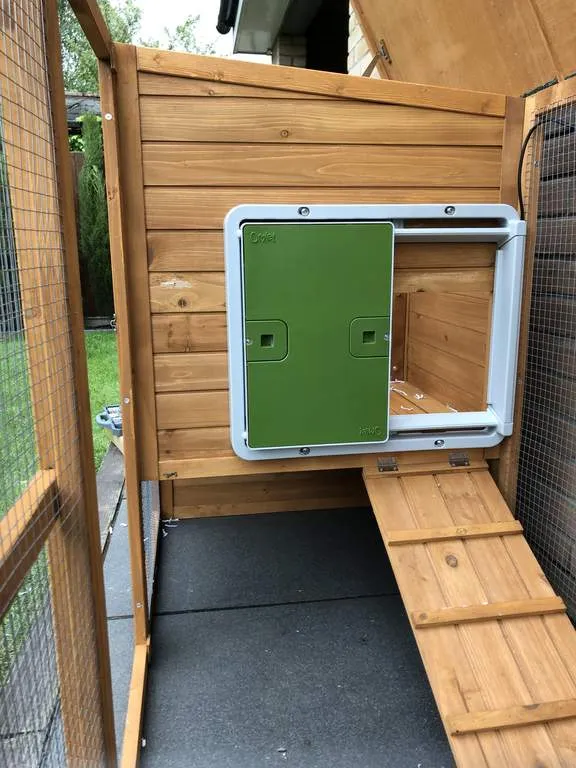 54333 battery powered chicken door