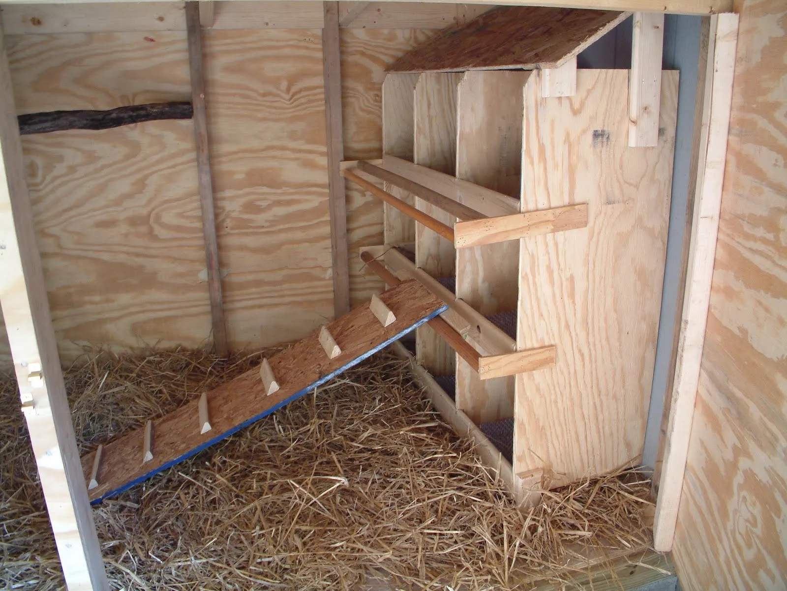 54340 chicken coop nesting box location