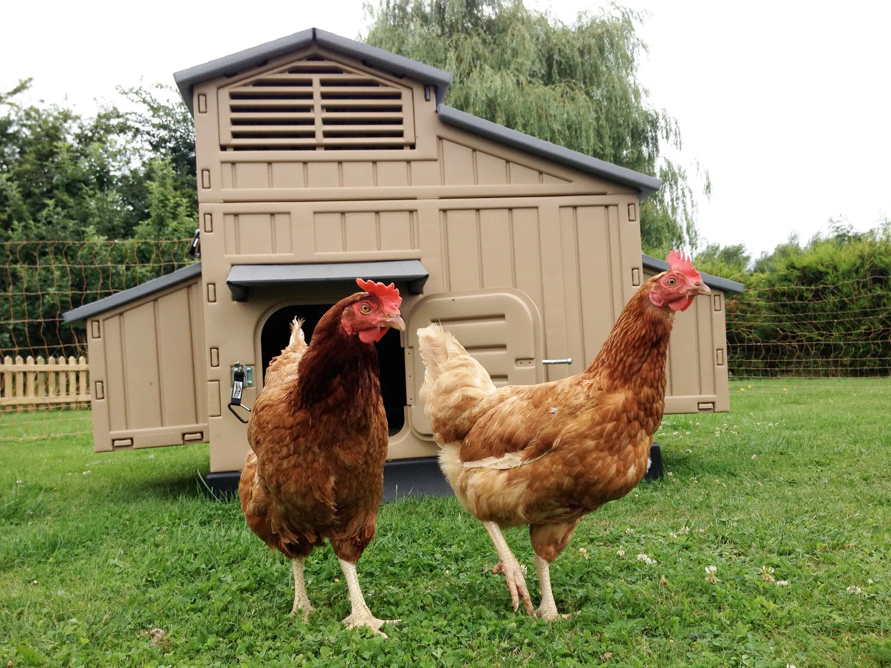 54343 chicken coop size guide