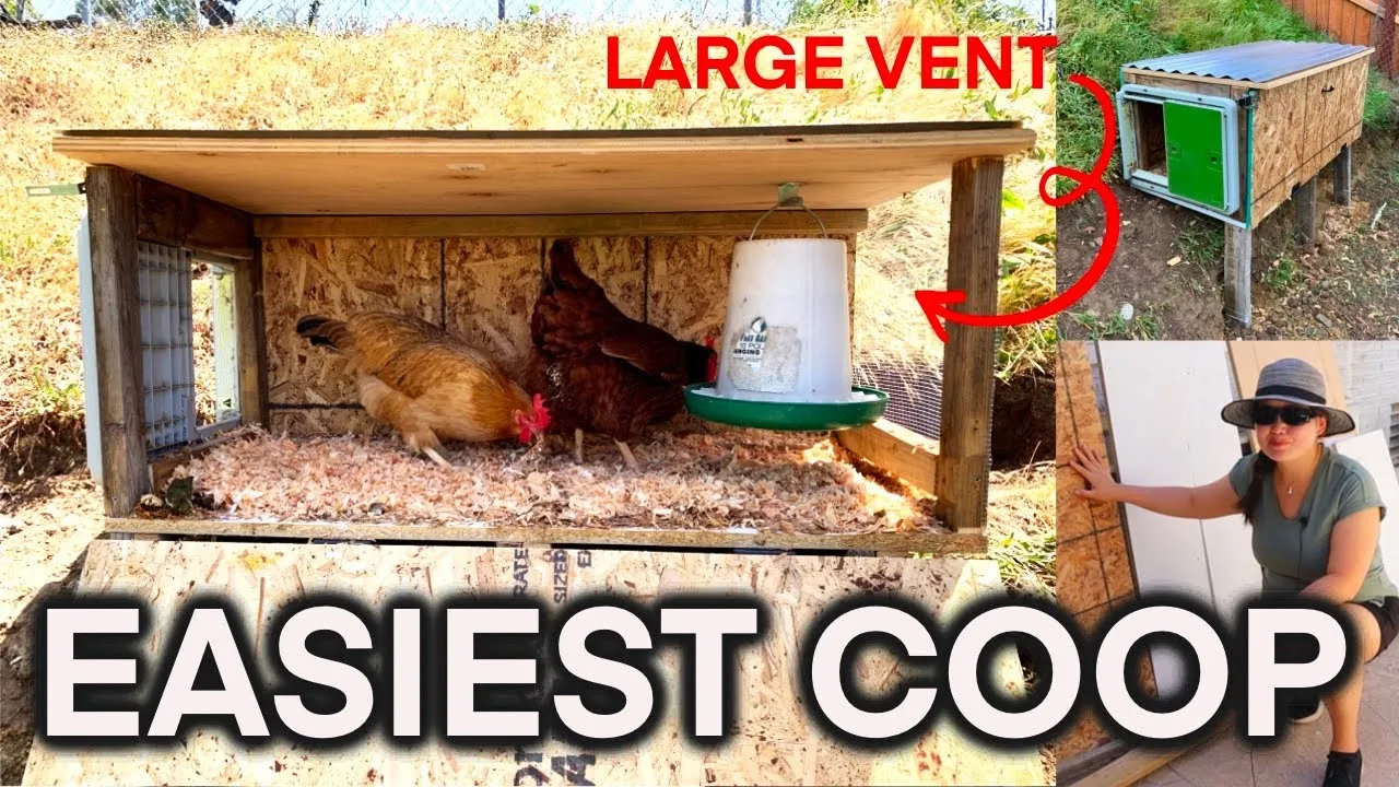 54348 chicken coop tools