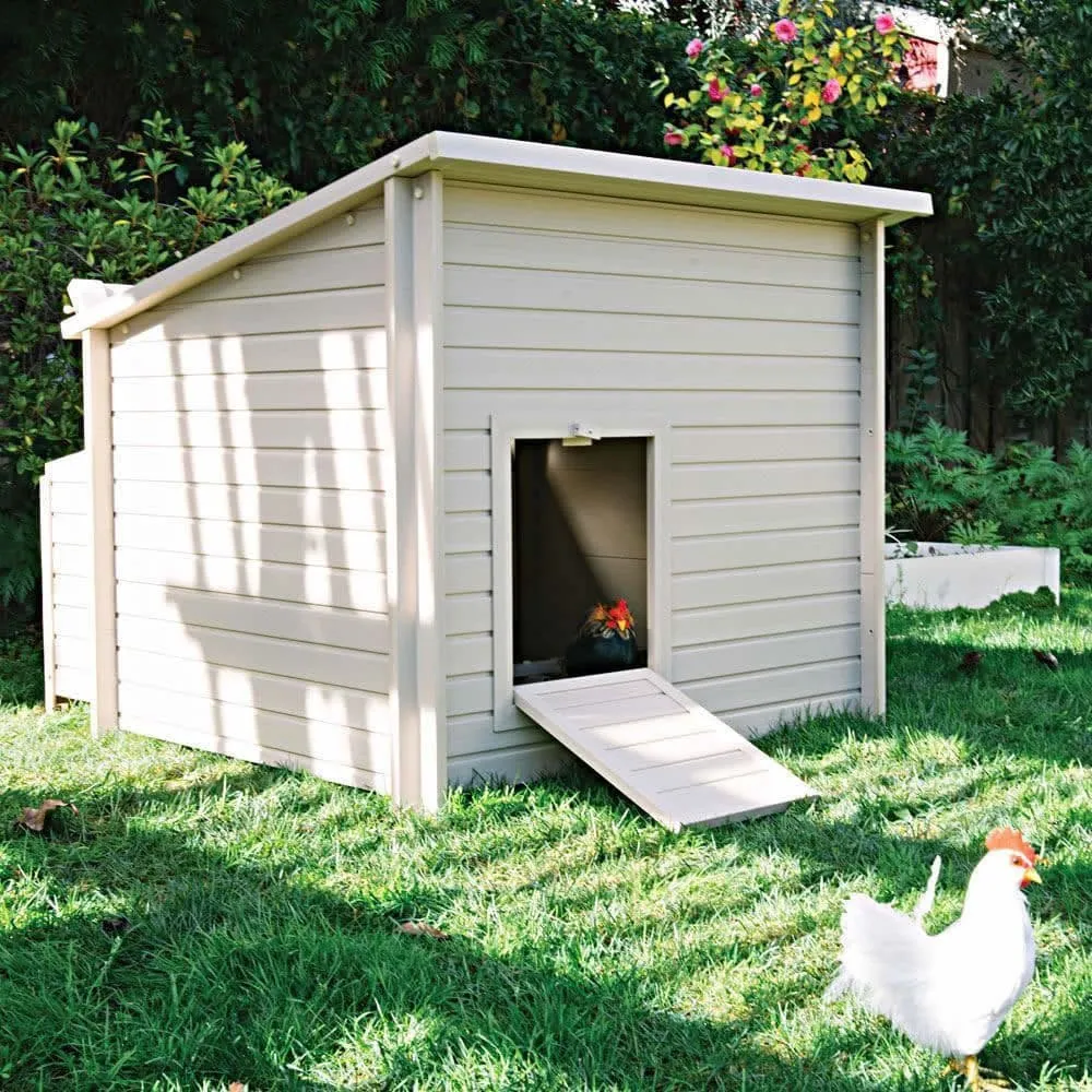 54351 chicken coop plastic cleaning