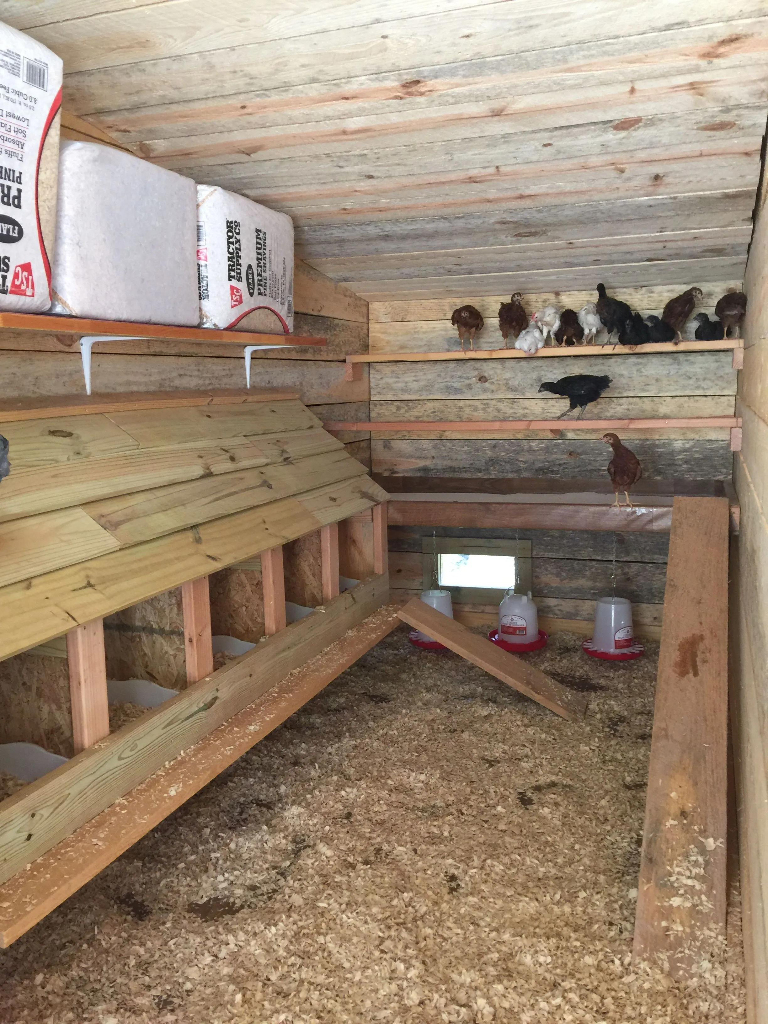 54354 portable chicken coop