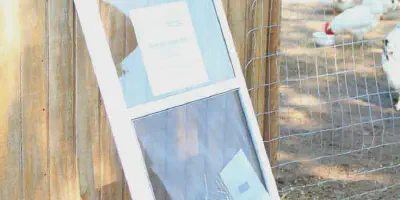 /img/54355-chicken-coop-window-design.webp