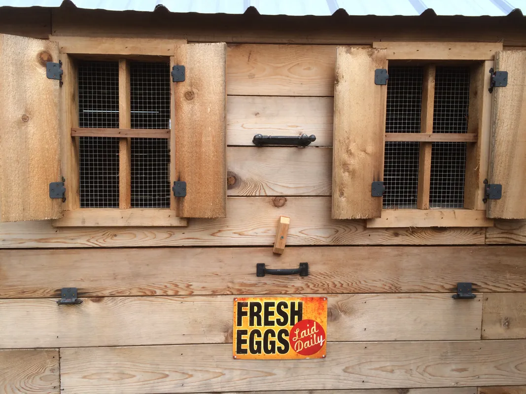 54355 chicken coop window materials