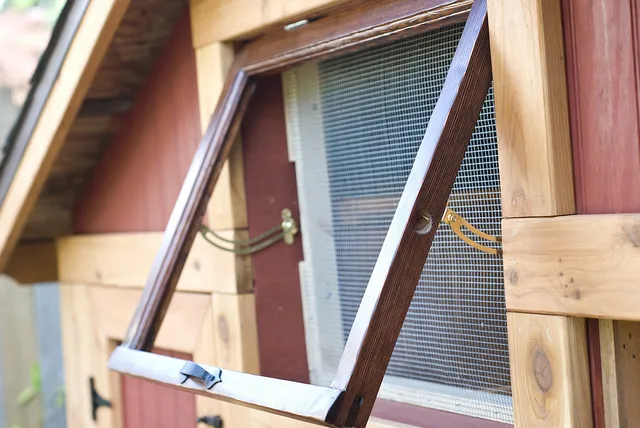54355 chicken coop window placement