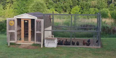/img/54356-shed-chicken-coop-landscaping.webp
