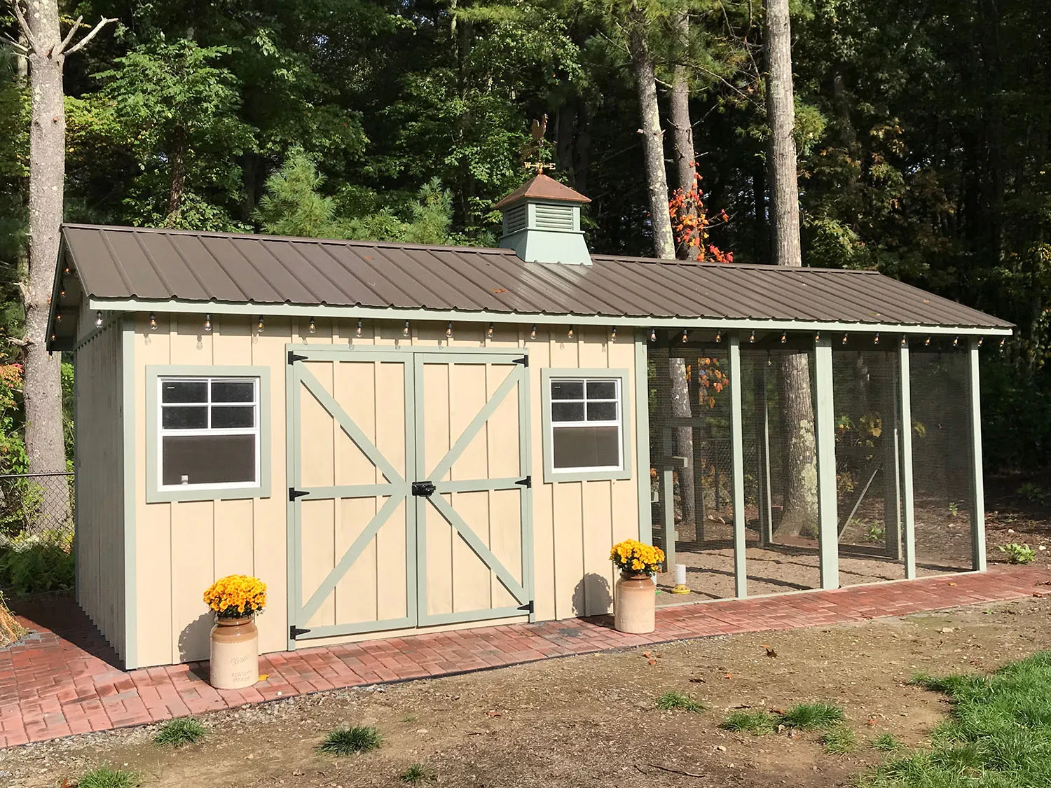 54358 chicken coop from shed design