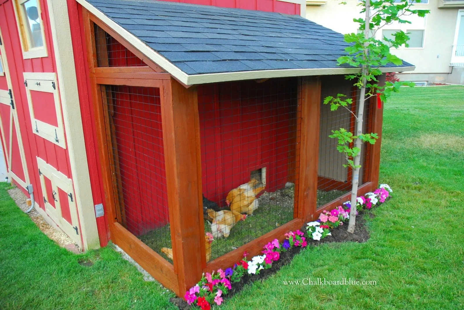 54358 chicken coop from shed maintenance