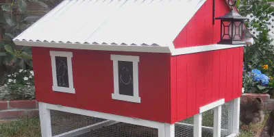 /img/54360-wayfair-chicken-coop-style.webp