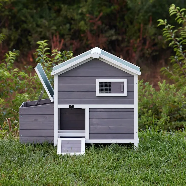 54363 chicken coop size