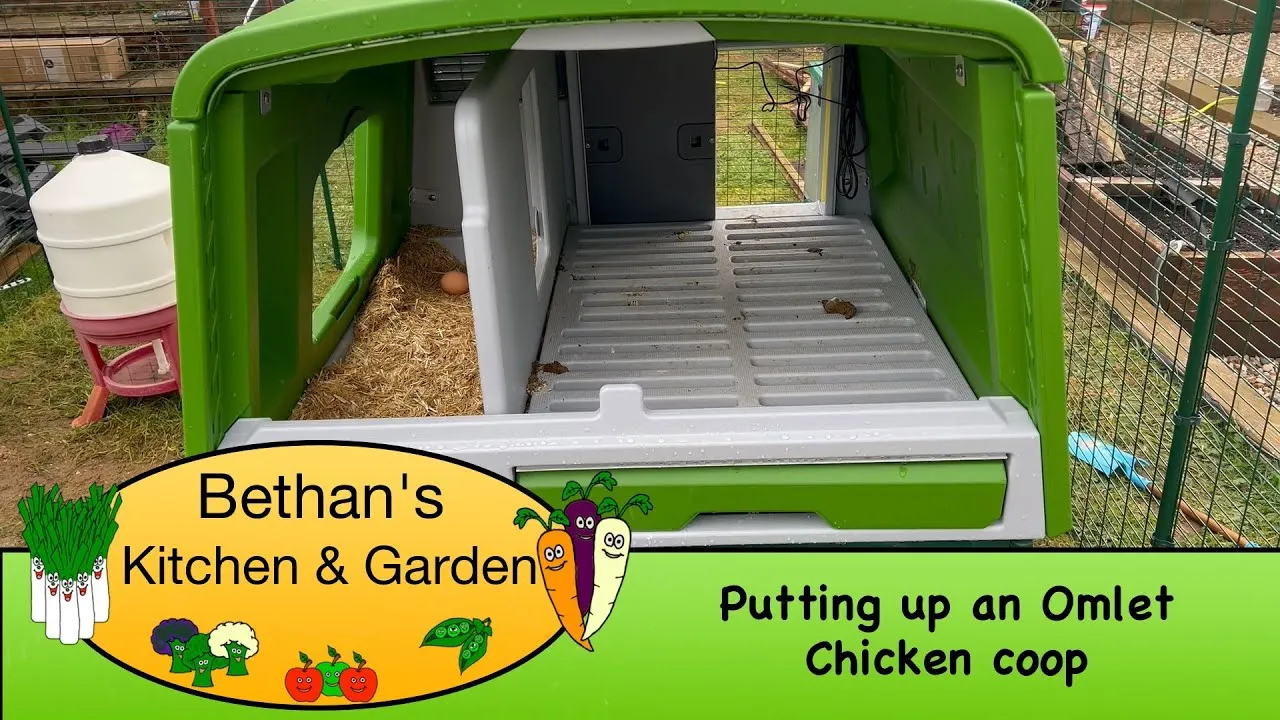 54365 chicken coop location