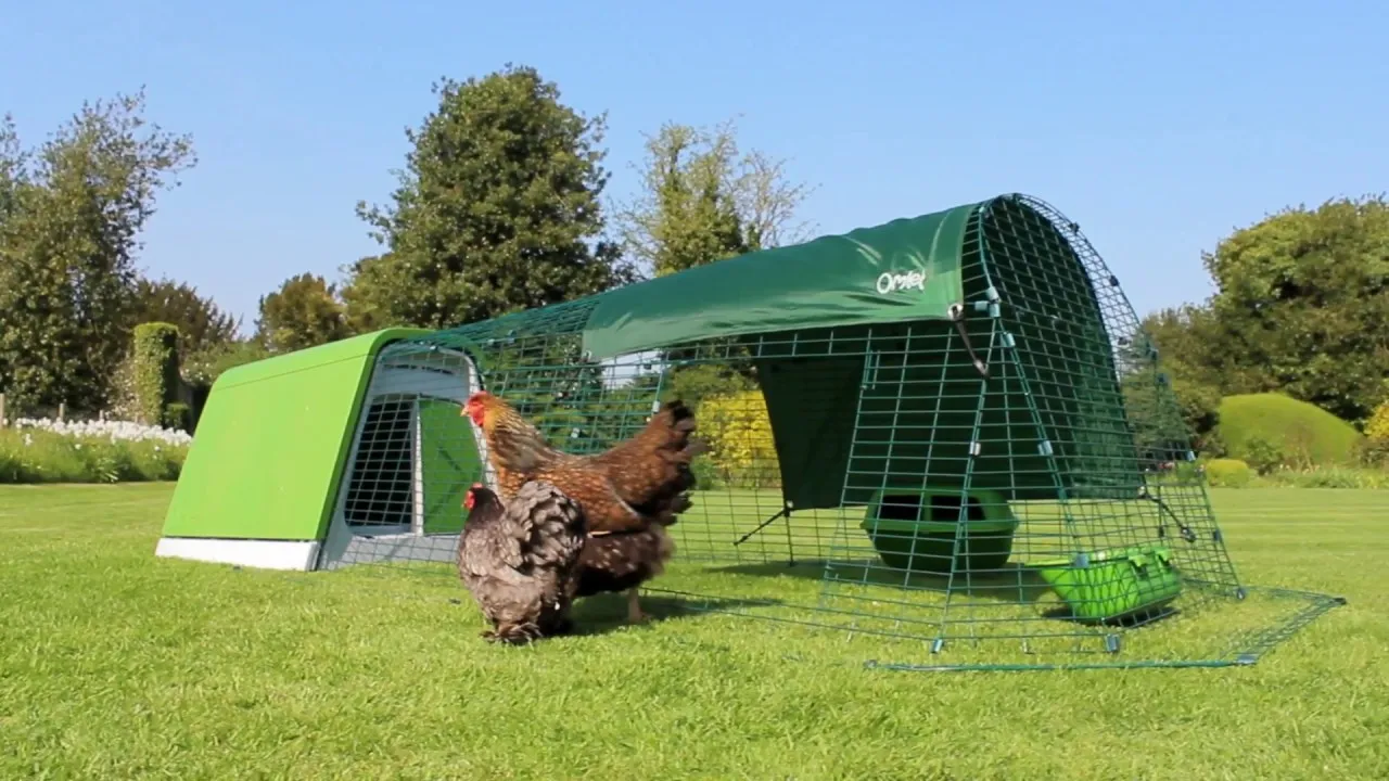 /img/54365-cleaning-chicken-coop.webp