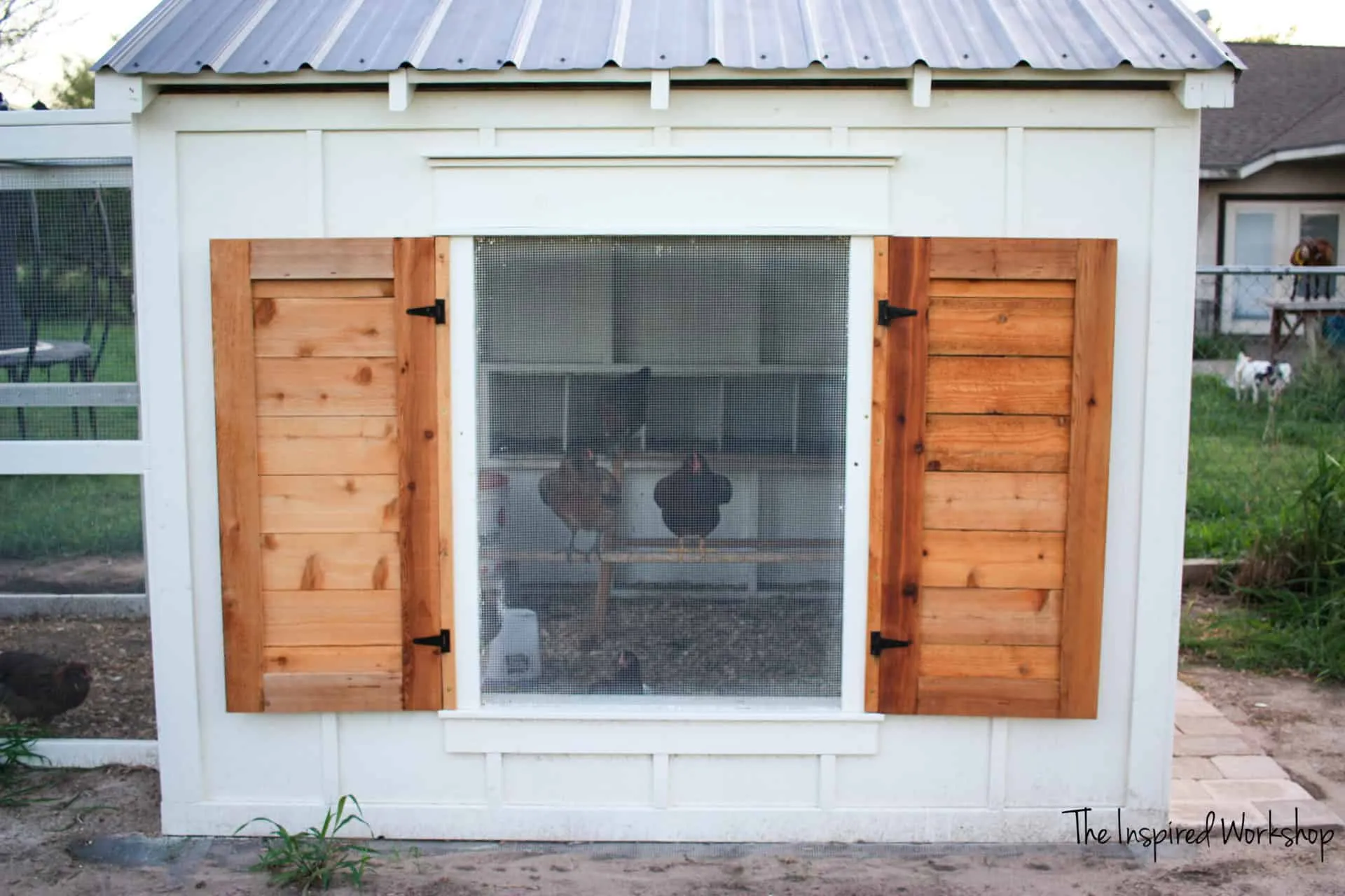 54366 chicken coop window security