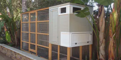 /img/54367-modern-chicken-coop-design-8.webp
