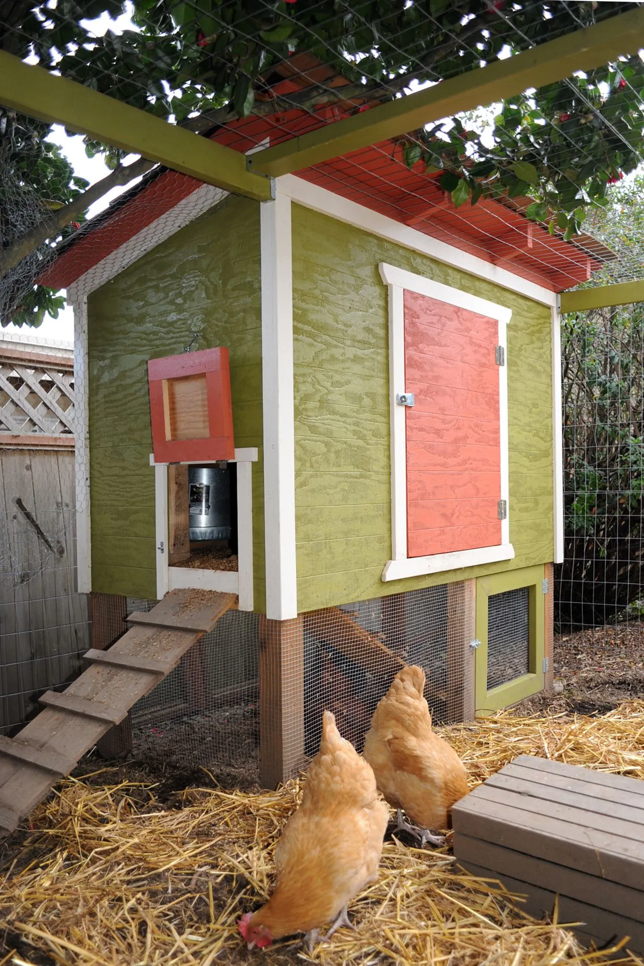 54368 chicken coop design