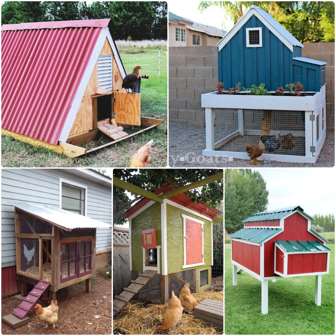 54368 chicken coop materials