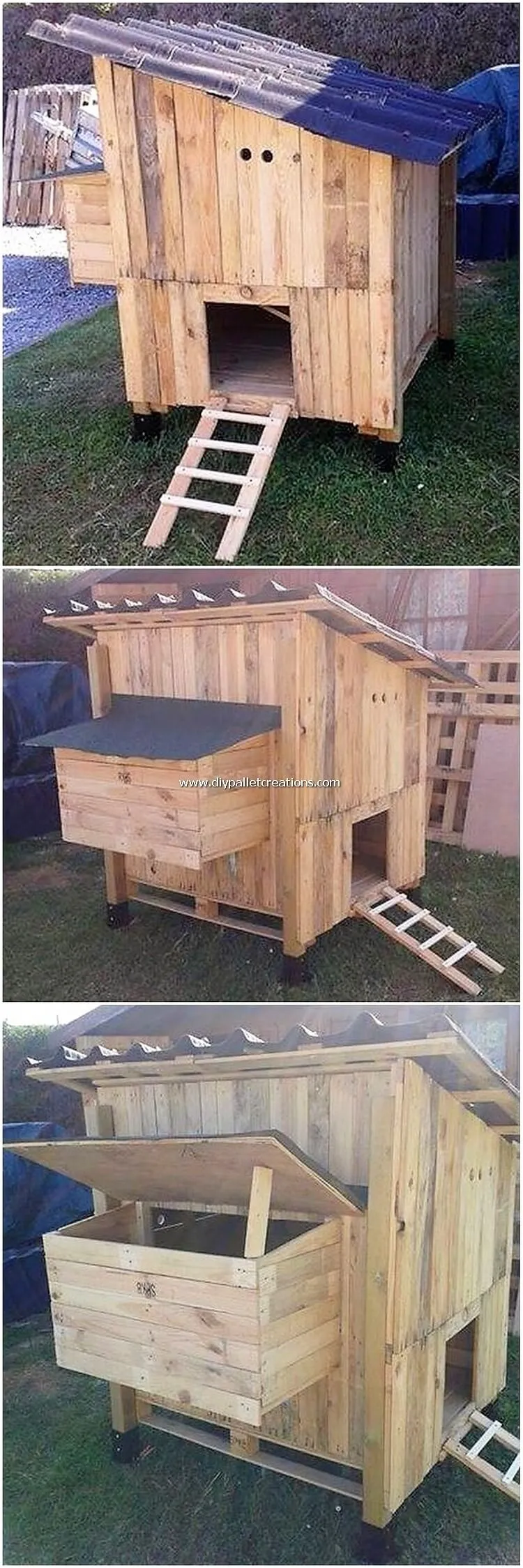 /img/54369-chicken-coop-pallets-finished-coop.webp