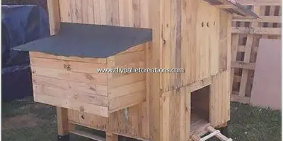 /img/54369-chicken-coop-pallets-finished-coop.webp