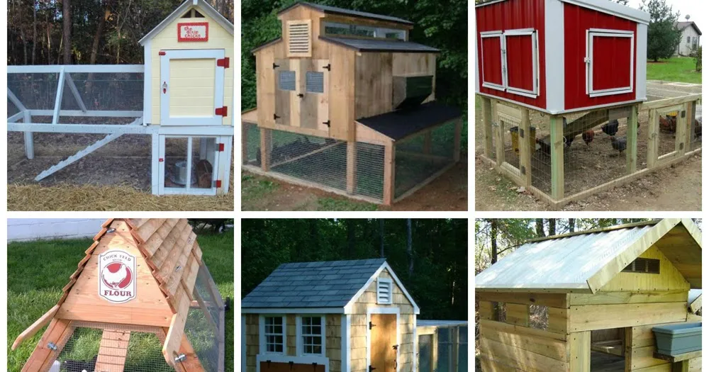 54370 chicken coop nesting boxes