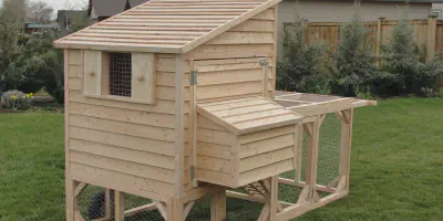 /img/54370-chicken-coop-run.webp