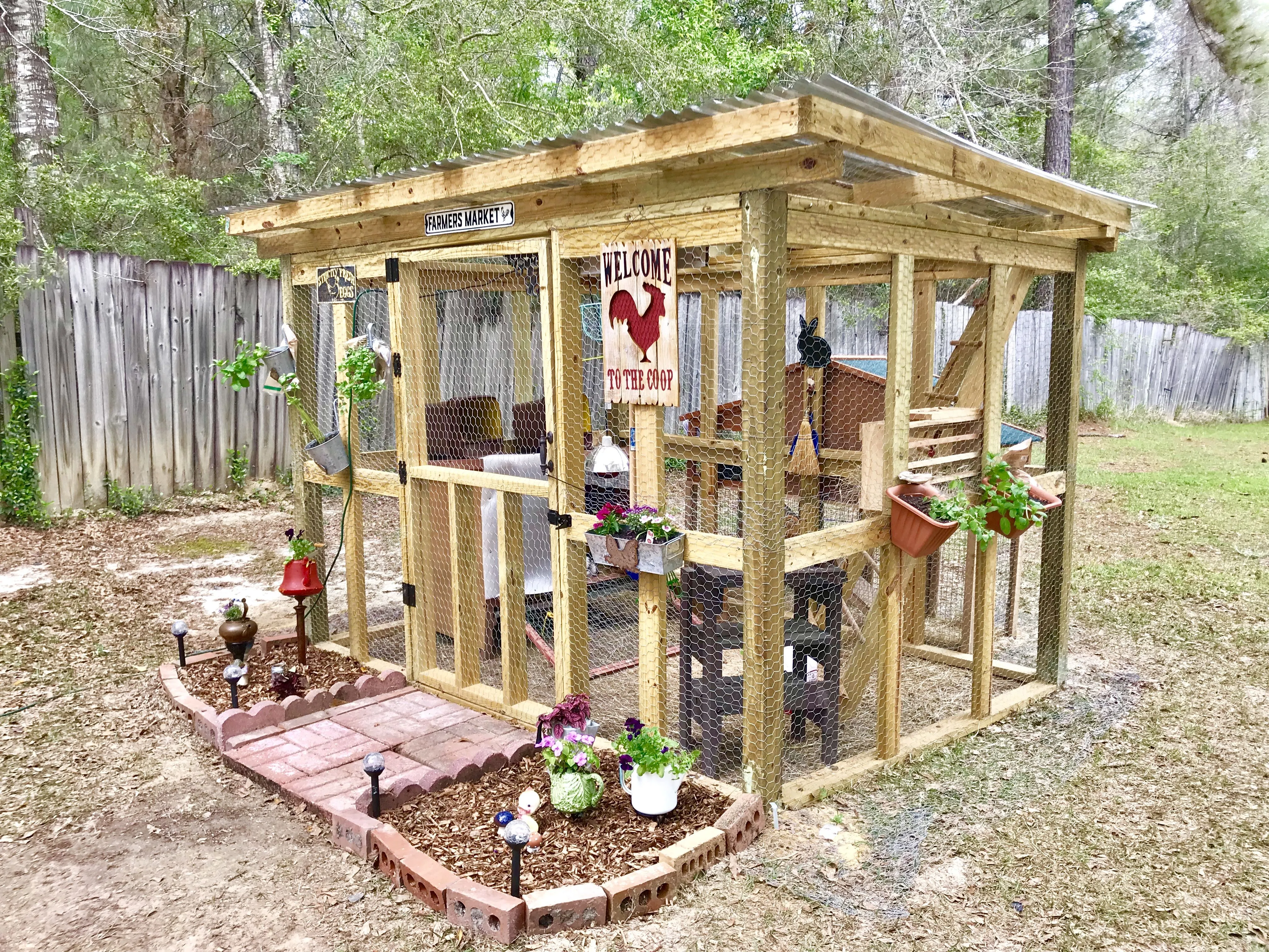 54370 predator proof chicken coop