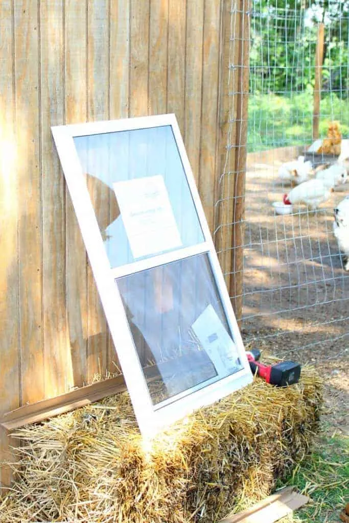 /img/54372-chicken-coop-window-closed.webp