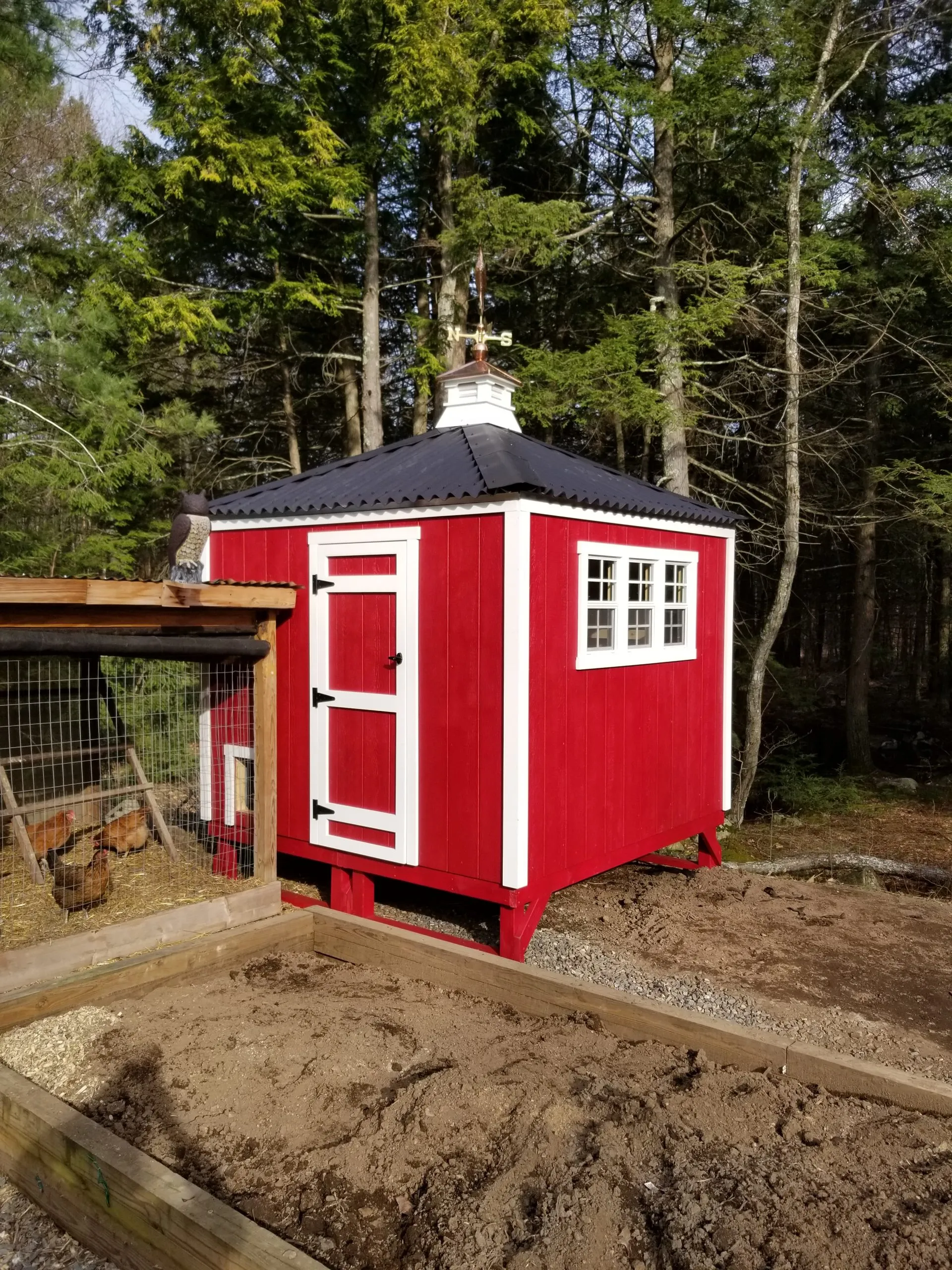 54372 chicken coop window open