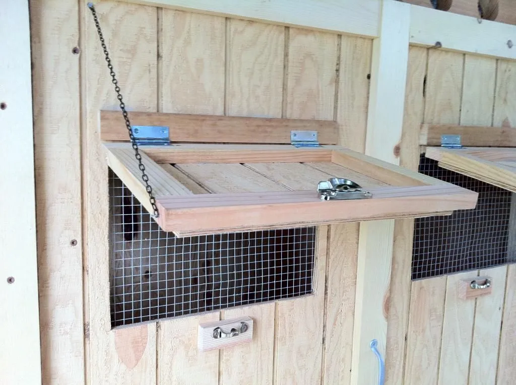 54372 chicken coop window placement