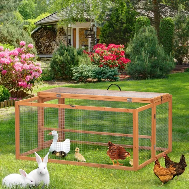 /img/54373-chicken-coop-assembly.webp