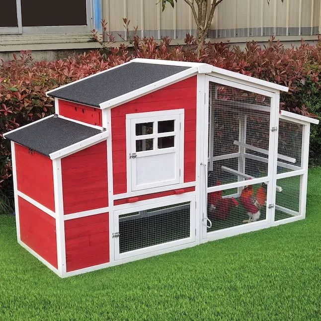 54373 plastic chicken coop