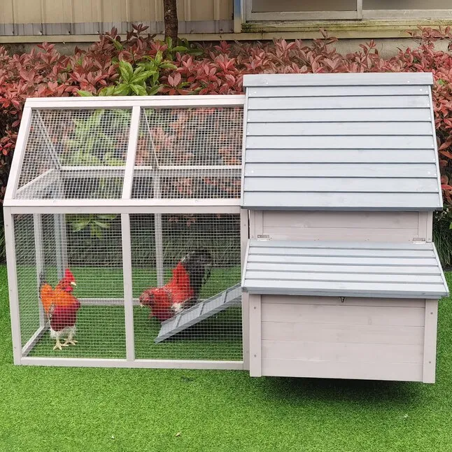 54373 predator proof chicken coop