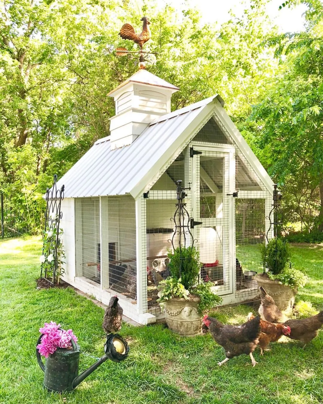 54374 a frame chicken coop