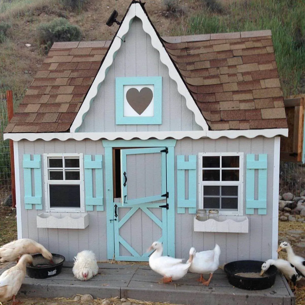 54374 cute chicken coop overview